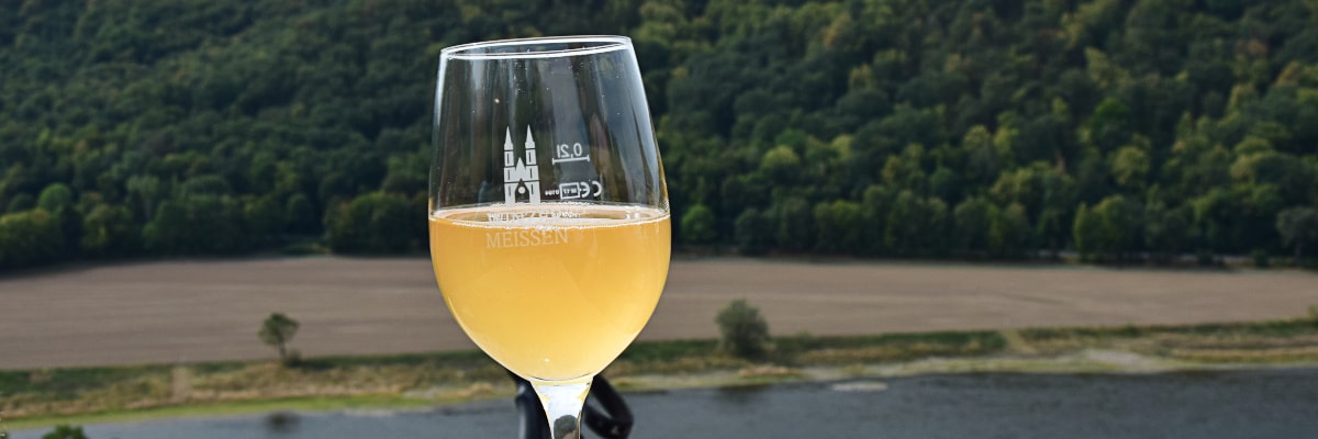 Copa de vino de Meißen frente a los viñedos