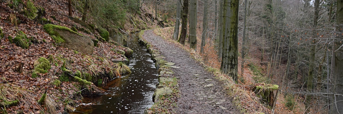 Acequia junto al Blauer Stein cerca de Pobershau, en los Montes Metálicos