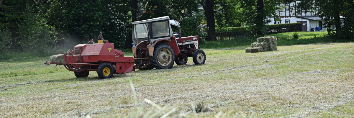 Cosecha de heno en un prado de los Montes Metálicos