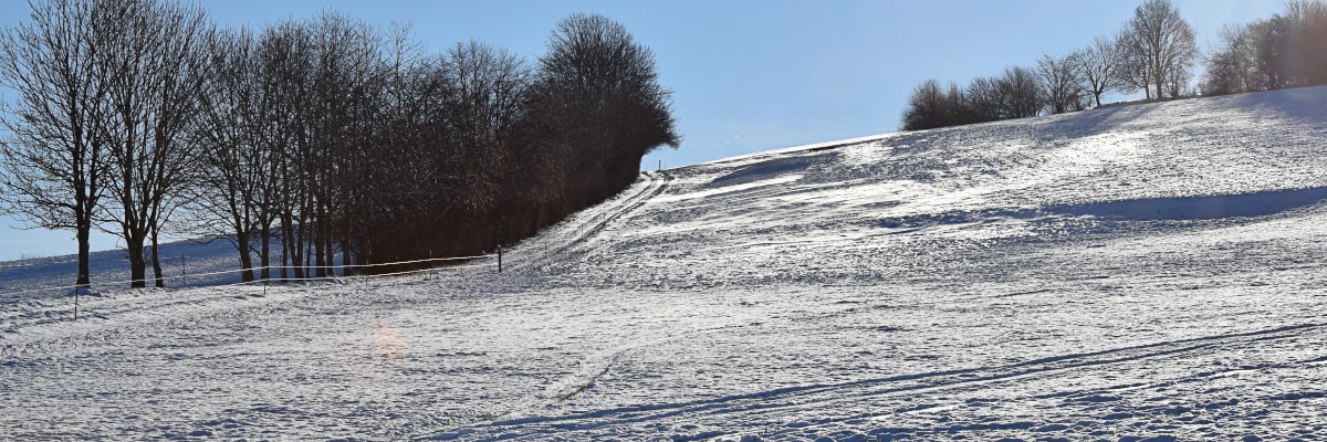 Winterlandschaft bei Großwaltersdorf – schneebedeckter Hügel mit Bäumen