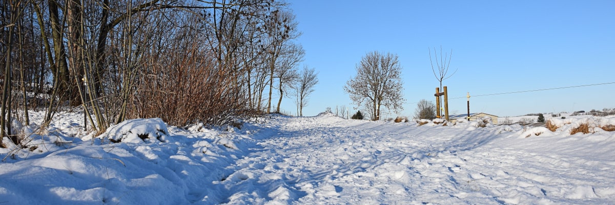Camino rural nevado cerca de Großwaltersdorf con arbustos y árboles