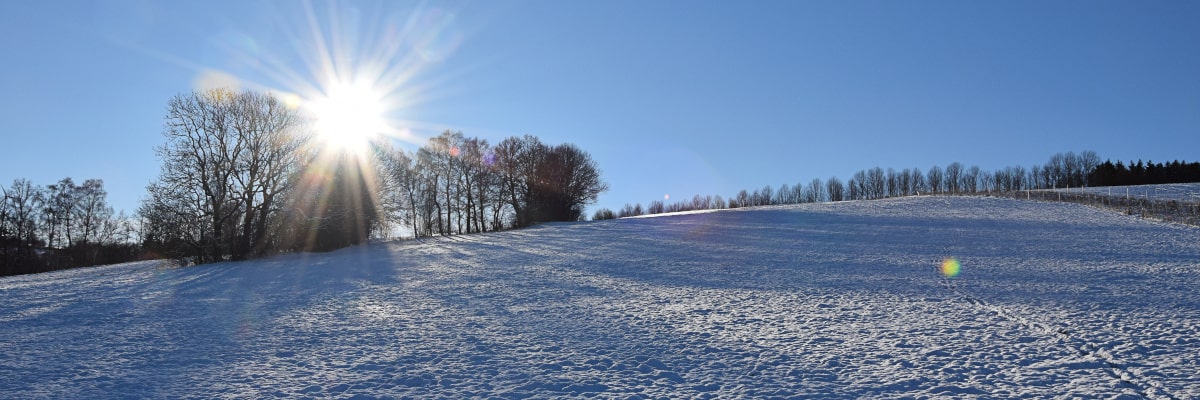 Winterlandschaft im Erzgebirge – verschneiter Hügel mit Bäumen und Wintersonne